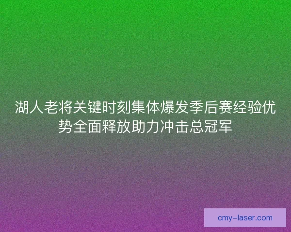 湖人老将关键时刻集体爆发季后赛经验优势全面释放助力冲击总冠军