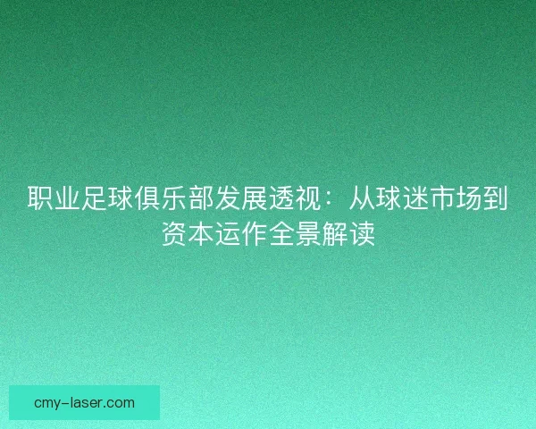 职业足球俱乐部发展透视：从球迷市场到资本运作全景解读