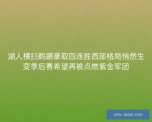 湖人横扫鹈鹕豪取四连胜西部格局悄然生变季后赛希望再被点燃紫金军团